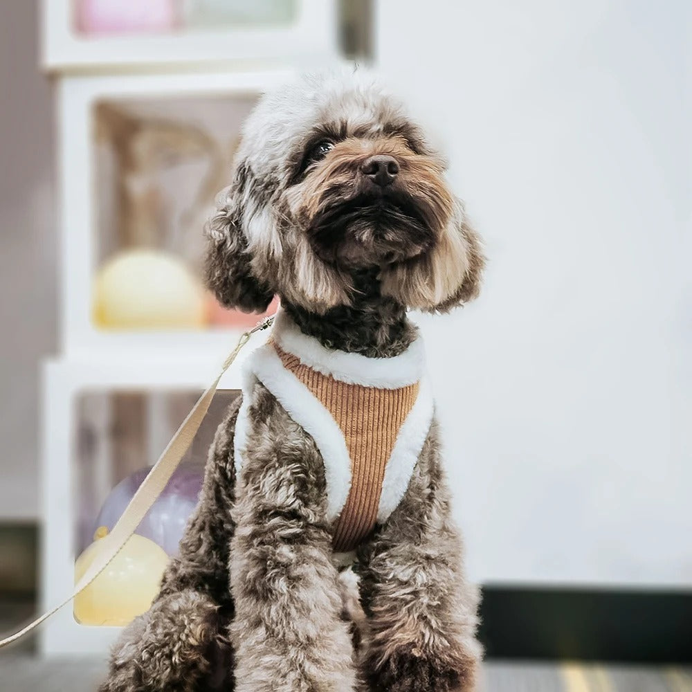 bruin fluffy hondentuigje poedel